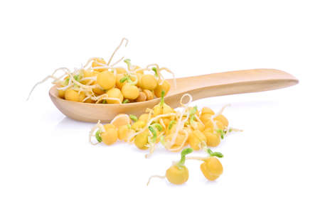 snow pea sprouts in wooden spoon isolated on white backgroundの写真素材