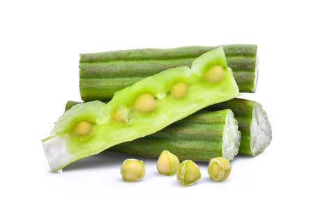 fresh Moringa (Drumstick tree) isolated on a white background.の写真素材