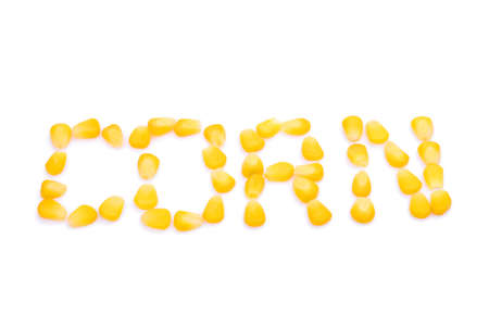 CORN word made with corn seeds isolated on white background