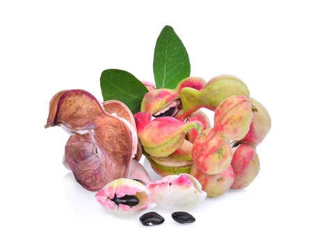 fresh manila tamarind fruit isolated on white backgroundの写真素材