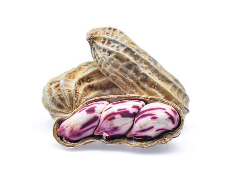 boiled peanut isolated on white backgroundの写真素材