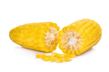 sweet corn on the cob isolated on white background