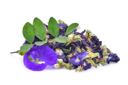 fresh and dried butterfly pea,blue pea,clitoria ternatea or aparajita flower isolated on white backgroundの写真素材