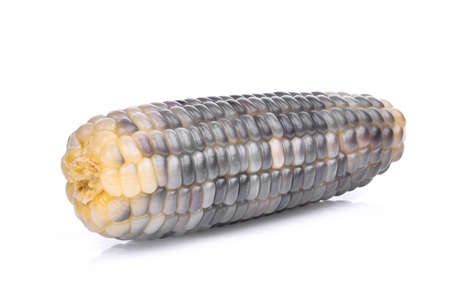 single waxy corn, tropical plants isolated on white backgroundの写真素材
