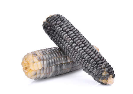 Waxy corn, tropical plants isolated on white background