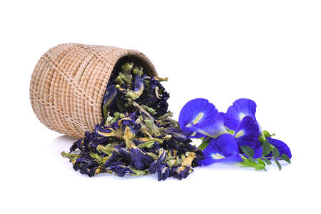 fresh and dried butterfly pea,blue pea,clitoria ternatea or aparajita flower isolated on white backgroundの写真素材