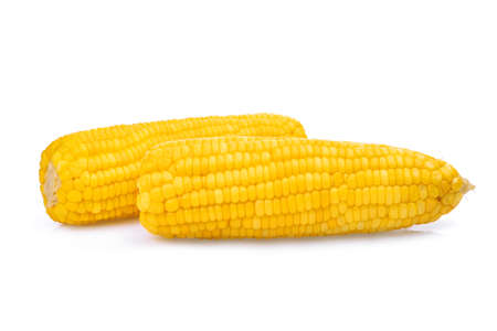 two corn cops isolated on white backgroundの写真素材