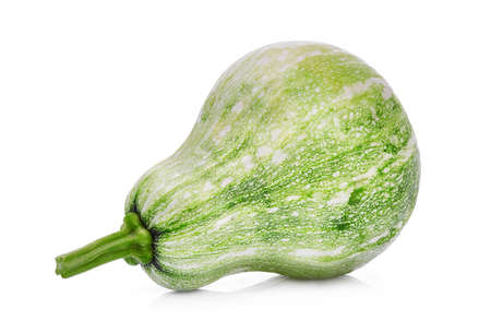 whole of young green pumpkin isolated on white backgroundの写真素材