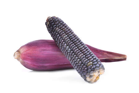 boiled purple waxy corn, tropical plants isolated on white backgroundの写真素材