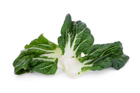 baby white pak choi isolated on white backgroundの写真素材