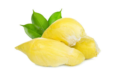 durian tropical fruit with green leaves isolated on white backgroundの写真素材