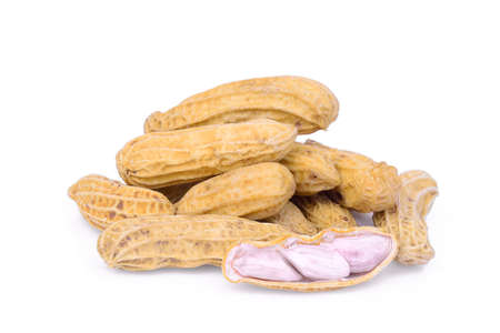 boiled peanuts isolated on white backgroundの写真素材