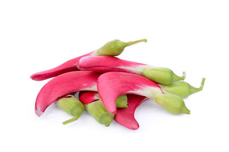 Red agasta (sesban) vegetable isolated o white backgroundの写真素材