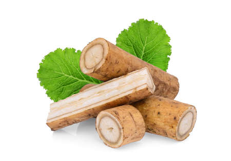 burdock roots or kobo with green leaf isolated on white backgroundの写真素材