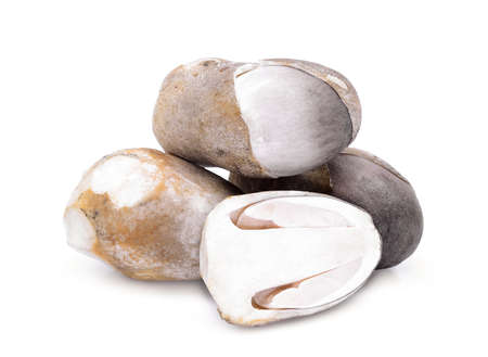 straw mushroom  isolated on white background