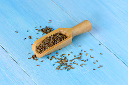 dried cumin seed or caraway in wooden scoop on the blue wood  background