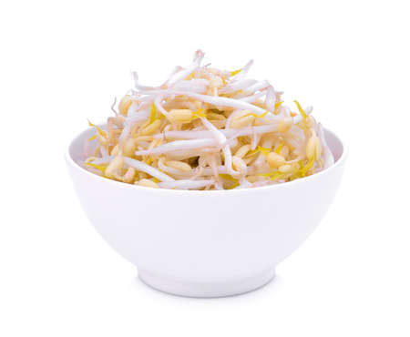 bean sprouts in the white bowl isolated on white backgroundの写真素材