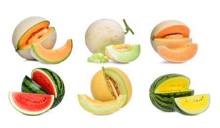 collection of melon isolated on white backgroundの写真素材