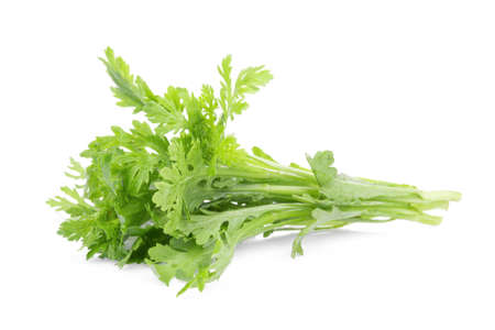 garland chrysanthemum vegetable isolated on white bakcgroundの写真素材
