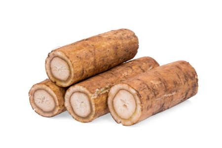 burdock roots or kobo isolated on white backgroundの写真素材