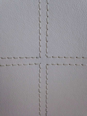 Leather skin texture の素材