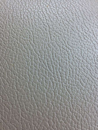 Leather skin texture