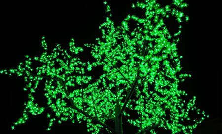 Green light tree shining brightly along the roadside on a starless night
