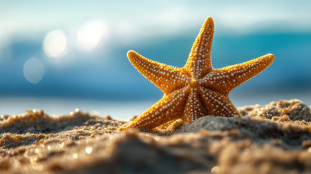 A stunning close-up of a vibrant starfish resting on sandy beach, illuminated by sunlight, with gentle ocean waves providing serene background.の素材