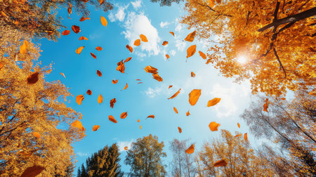 Experience the beauty of autumn with vibrant leaves falling from trees against a bright blue sky, illuminated by warm sunlight in a serene landscape.の素材