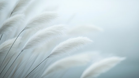 This image captures soft white grasses swaying gently in a light breeze, set against a blurred, serene background. Perfect for nature-inspired themes.の素材