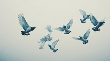 A captivating scene of birds flying gracefully against a misty sky, capturing a moment of tranquility and beauty within nature's landscape.の素材