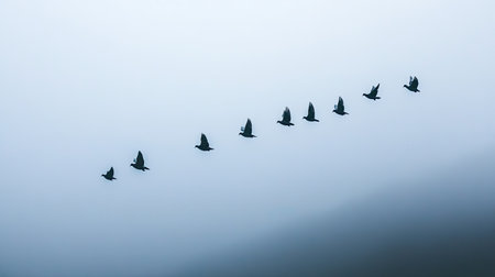 A mesmerizing flock of birds gracefully flying in formation across a soft and misty sky at dusk, capturing a sense of natural beauty and tranquility.の素材