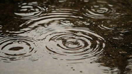A serene scene capturing the delicate ripples formed by raindrops falling on wet ground. The reflection and calm ambiance create a tranquil outdoor atmosphere.の素材