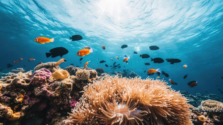 A stunning underwater view showcasing a variety of colorful fish swimming above a vibrant coral reef. The crystal-clear water enhances the serene beauty of the marine ecosystem, inviting viewers to explore the lively underwater world.の素材