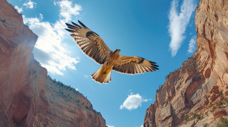 A stunning hawk soars gracefully above a rugged canyon, set against a brilliant blue sky adorned with soft, white clouds, showcasing nature's beauty.の素材