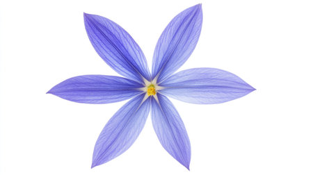 A striking image of a delicate blue flower with soft petals and a bright yellow center, set against a pristine white background, perfect for nature-themed projects.の素材