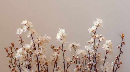 A beautiful arrangement of delicate white blossoms against a soft cream background, perfect for adding elegance and a touch of nature to any space or project.の素材