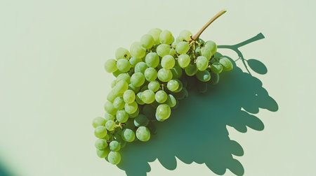 A cluster of fresh green grapes sits on a soft light background, casting a gentle shadow. The image captures the fruit's natural beauty, ideal for wellness themes.の素材
