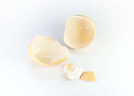 Eggshell
