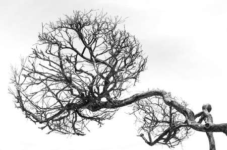 Dead tree represents the loss of the girl alone.の写真素材