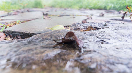 Walk natural birth naturally have forged the Labour durability.の写真素材