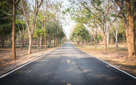 Road of Hope Empowerment way forward.の写真素材