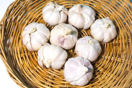 Spices, garlic, white basket is popular all over the world.