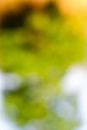 Angled blur the beauty of the mountains.の写真素材