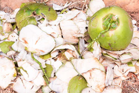 Coconut shell fragments to allow dry.の写真素材