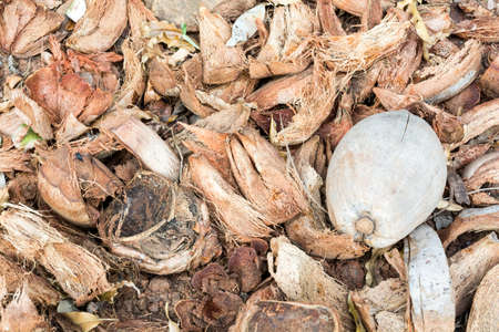 Coconut shell will be forced to fire.の写真素材