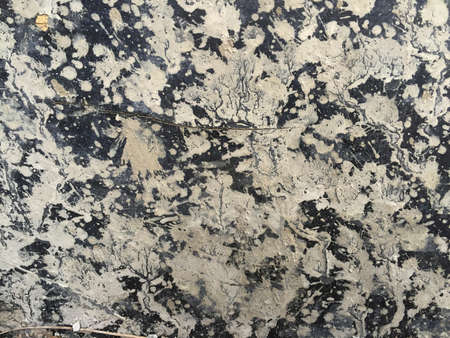 grunge texture wood background