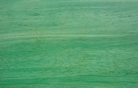 Green rubber wood grainの写真素材
