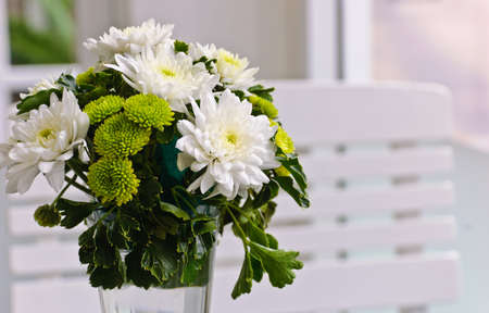 White chrysanthemum flowersの写真素材