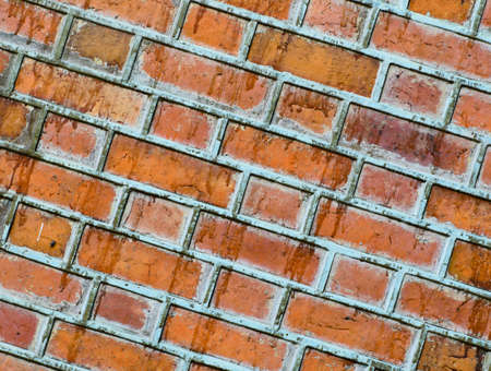 Brick wall texture